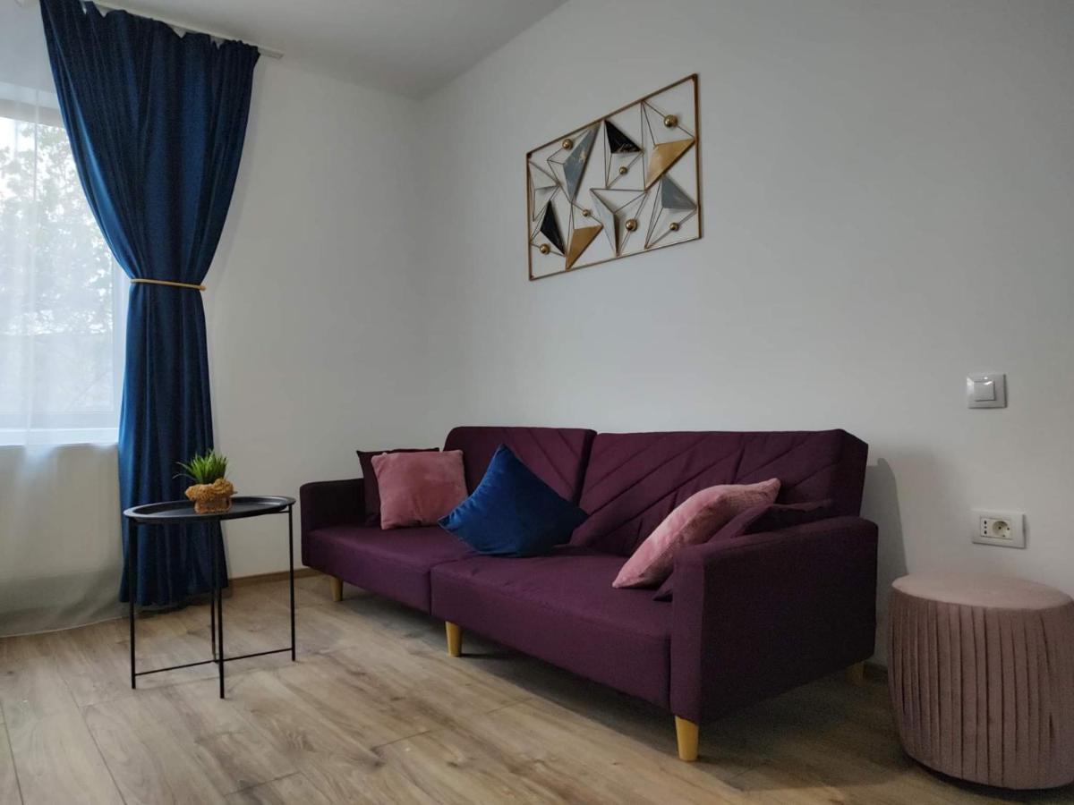 Dania&Petru Residence Tîrgu Ocna Dış mekan fotoğraf