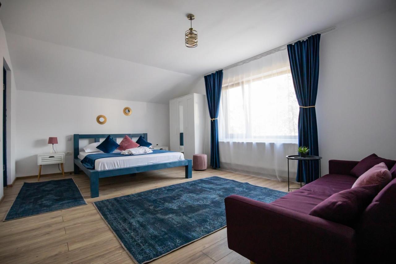 Dania&Petru Residence Tîrgu Ocna Dış mekan fotoğraf
