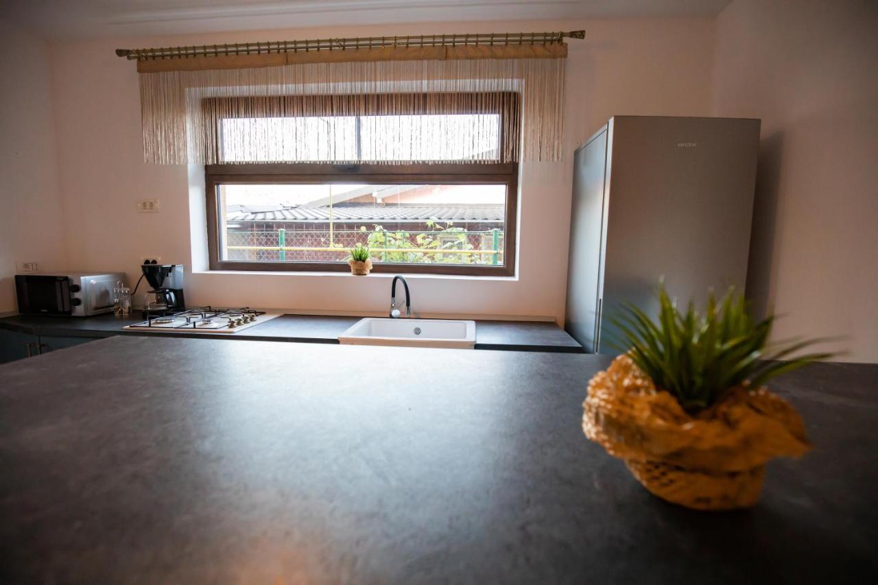Dania&Petru Residence Tîrgu Ocna Dış mekan fotoğraf
